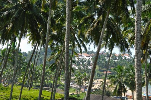 Samudra Beach greenery