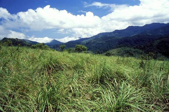  Silent Valley National Park