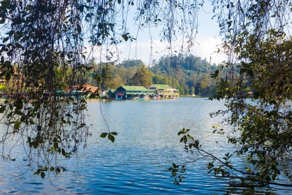 Veeranam Lake