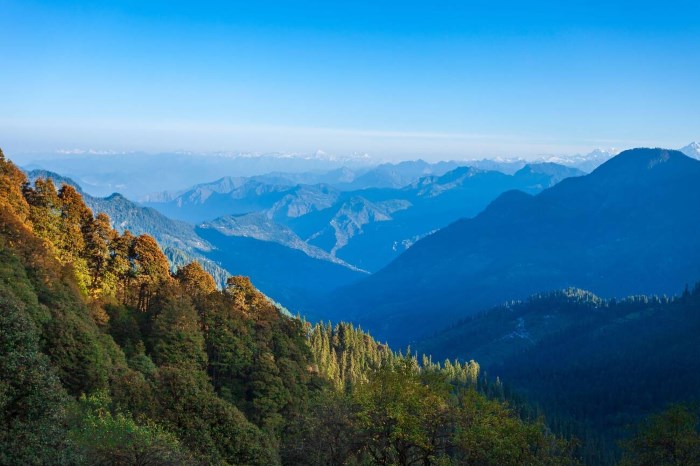 View from Jalori Pass viewpoint