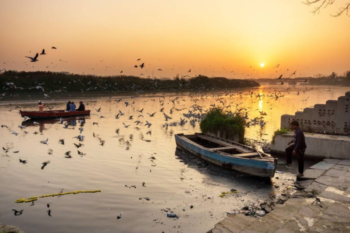 Yamuna river