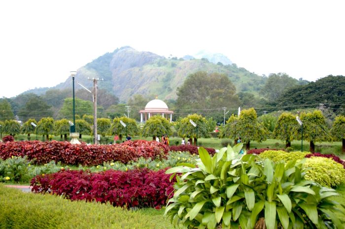 Malampuzha Garden visual appearance