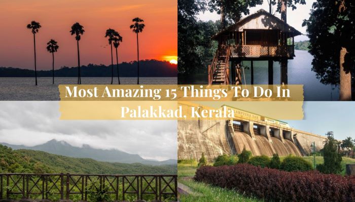 things to do in Palakkad