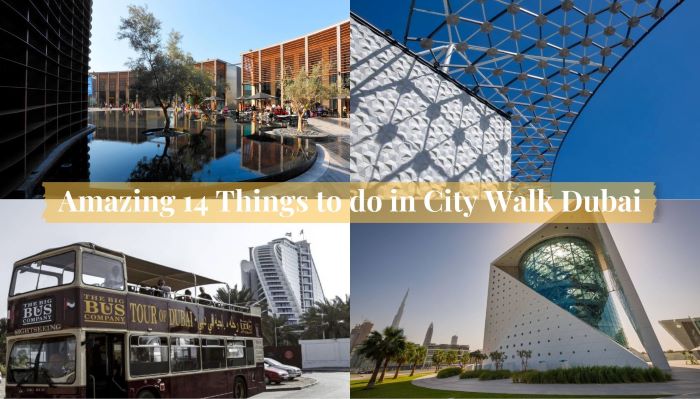 Amazing 14 Things to do in City Walk Dubai