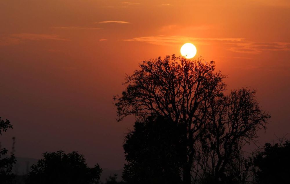 Beauty of Javadhu Hills