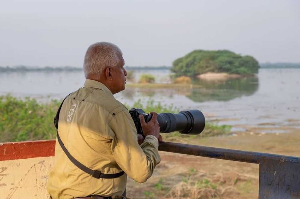 Go birdwatching to spot rare species