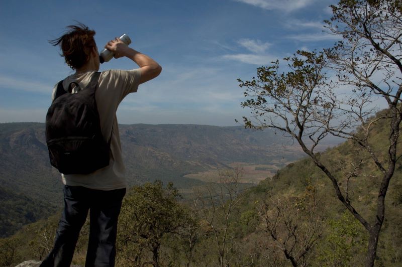 Green forest paths for trekking