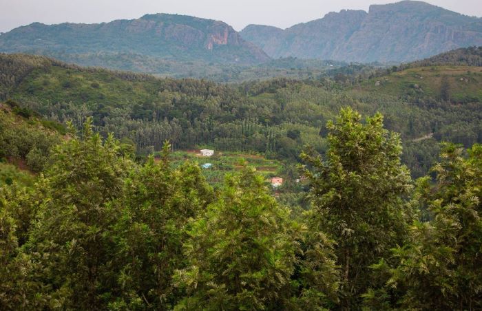 Hike to peaceful hilltop views