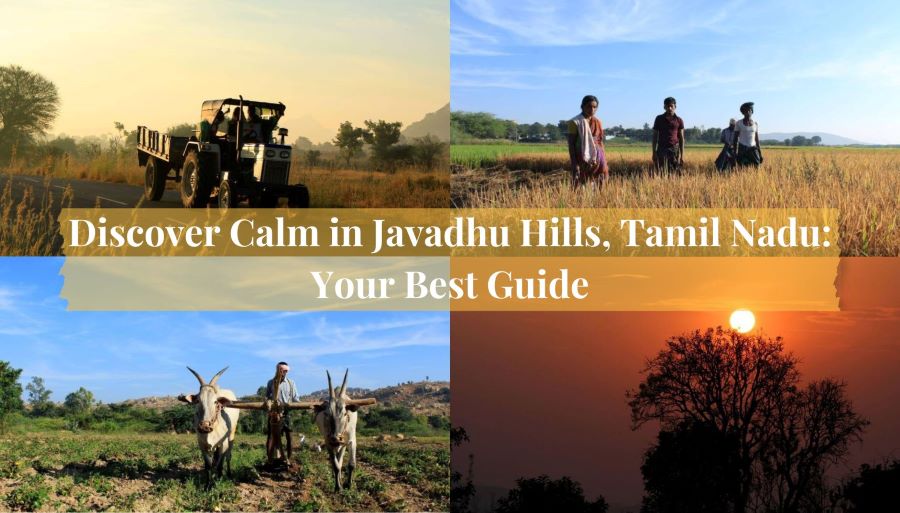 Javadhu Hills, your best guide