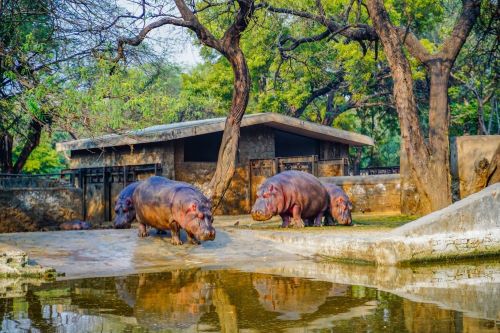 National Zoological Park