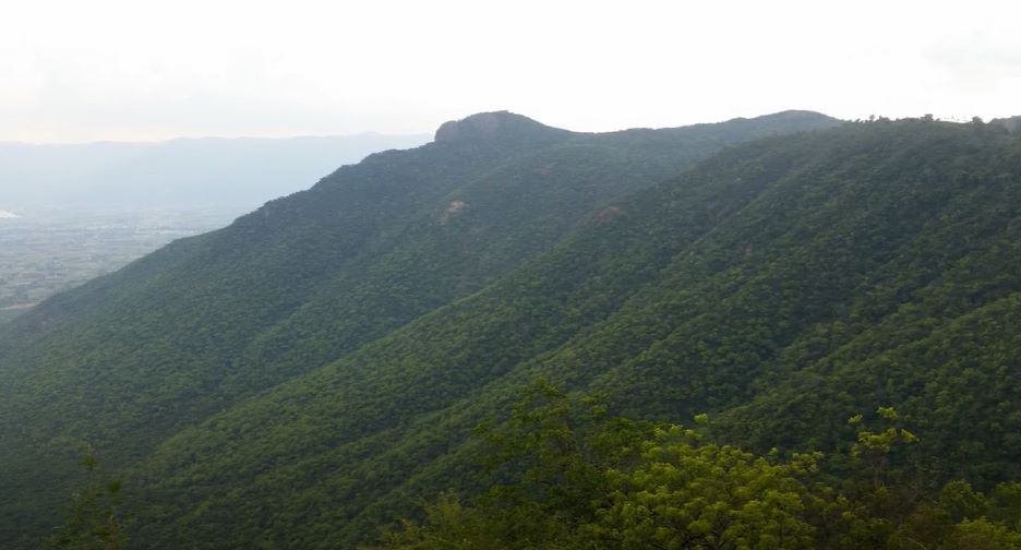 Pachamalai Hills