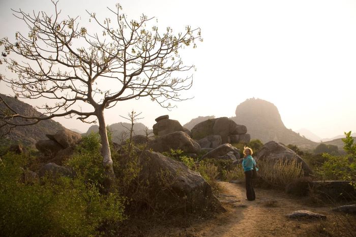 Planning Your Day at Javadhu Hills