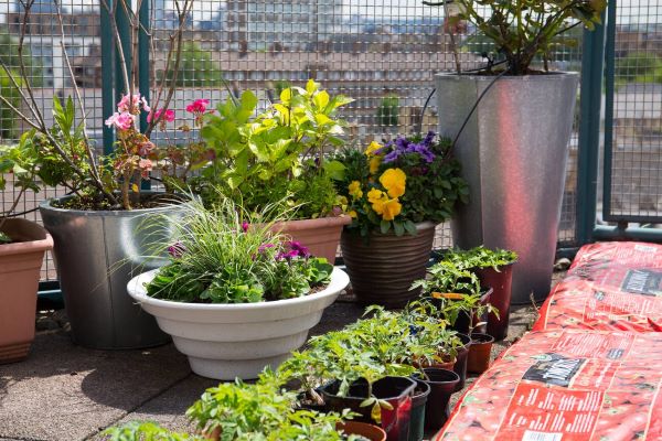 Relax in the rooftop gardens at westfield stratford