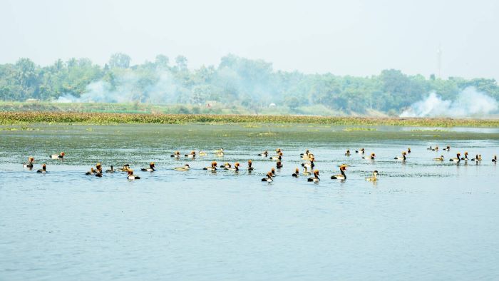 The Yamuna Biodiversity Park